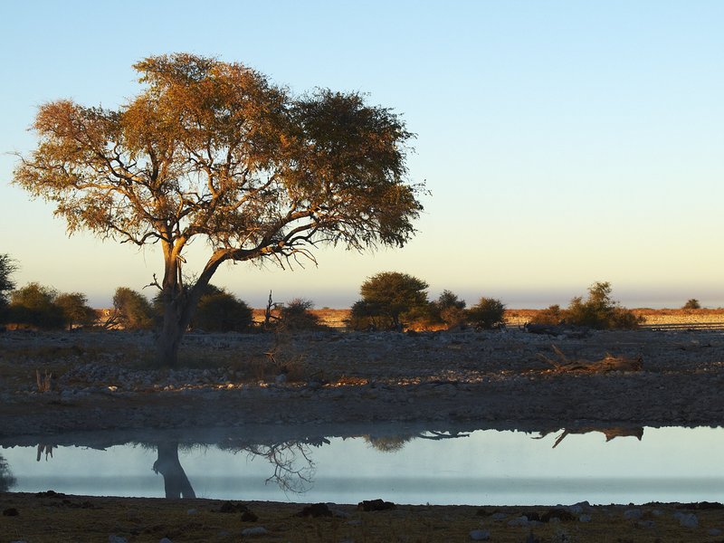 Etosha National Park, Okaukuejo
